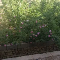 منزل فروشی.روستای ییلاقی خودسفلی|فروش خانه و ویلا|خرانق, |دیوار