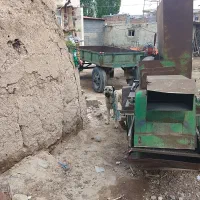 سگ سرابی|سگ|اردبیل, |دیوار