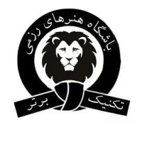 آموزش هنر رزمی کیوکوشین قویترین رشته مبارزات آزاد