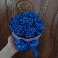 همراه شادی لحظه ها|گل و گیاه طبیعی|کوچصفهان, |دیوار