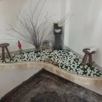 گروه پیمانکاری نوین سازه|خدمات پیشه و مهارت|توتکابن, |دیوار