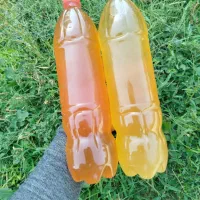 آبغوره طبیعی|خوردنی و آشامیدنی|رباطکریم, رباطکریم|دیوار