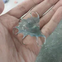 خدمات دندانپزشکی بلیچینگ، دست دندان، ارتودنسی