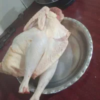 مرغ محلی پاک شده وتمیز
