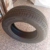 لاستیک تیگو