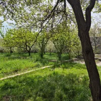 1400 متر باغ گلمکان+ سند شش دانگ+ آب+برق و گاز|فروش خانه و ویلا|گلمکان, |دیوار