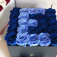 گل‌روبانی‌در.رنگ و اندازه متنوع