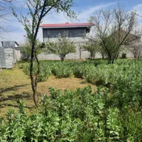 زمین سند دار در بافت طرح هادی|فروش زمین و ملک کلنگی|رشت, بازار|دیوار