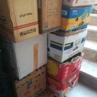 کارتن موزی