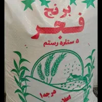 برنج فجر
