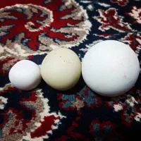 سنگ الماس اسیاب