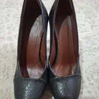 کفش مجلسی|کیف، کفش، کمربند|تهران, سازمان آب|دیوار