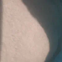 پودر ساقه کرفس کوهی.معطر|آرایشی، بهداشتی، درمانی|بروجرد, |دیوار