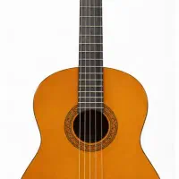 گیتار یاماها C40