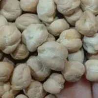 نخود پزاوخوش پخت