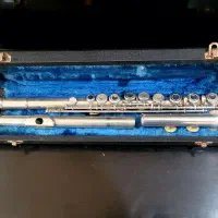 فلوت گلیدار|سازهای بادی|اهواز, کیانپارس |دیوار