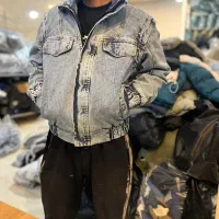 کت جین آستر تدی