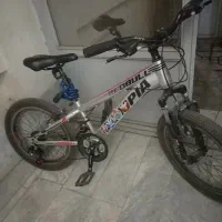 دوچرخه سالم