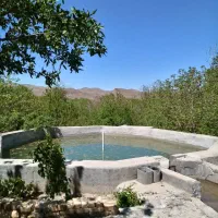 باغ و باغچه