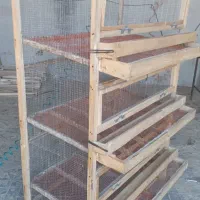 قفس بلدرچین