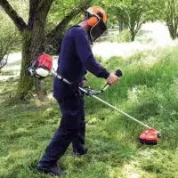علف زنی باغ باغچه