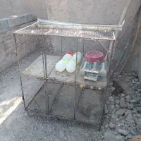قفس کبوتر