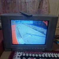 تلویزیون