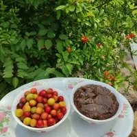 رب آلوچه تازه و ترش مامان پز|خوردنی و آشامیدنی|لاهیجان, جمهوری|دیوار