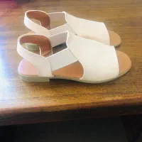 صندل|کیف، کفش، کمربند|رشت, معلم|دیوار