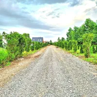 شهرک-برند-سنددار-پلاک-صفر-جنگل-اقساط-بلند-مدت