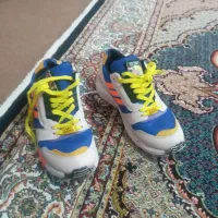 کفش|کیف، کفش، کمربند|مشگین شهر, |دیوار