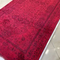 ارزانسرای گالری فرش بوشهر تخفیف فصلی|فرش|برازجان, |دیوار