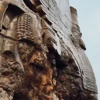 استخدام بازاریاب خانم