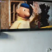 تلویزیون|تلویزیون و پروژکتور|روانسر, |دیوار