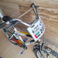 دوچرخه ۱۶|دوچرخه، اسکیت، اسکوتر|ملایر, |دیوار