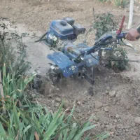 باغبانی هرس تیلر کودشیمیایی حیوانی خاک تمام نقاط