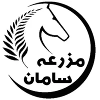 نگهبان