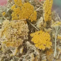 داروی بویمادران