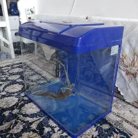 آکواریوم شرکتی