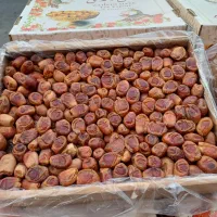 زاهدی آلویی/۵۰۰ کیلو/تازه و درجه ۱|عمده‌فروشی|تهران, میدان میوه و تره‌بار مرکزی|دیوار