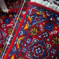 نیازمند مدلینگ خانم|استخدام هنری و رسانه|شیراز, معالی‌آباد|دیوار