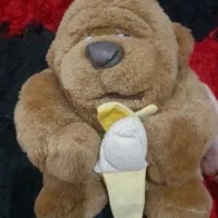 بدلیجات همه سالم قیمت ۱۰۰|بدلیجات|رشت, تازه آباد|دیوار