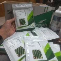 بذر خیار ویکتور