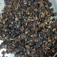 فروش مغز گردو