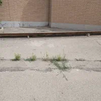 اجاره سوله صنعتی