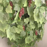 درختچه انگور