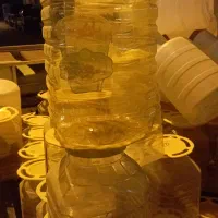 دبه فرمونی و جا خیارشور|ظروف نگهدارنده، پلاستیکی، یک‌بارمصرف|ایلام, |دیوار