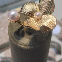 انگشتر امضا مجلسی|بدلیجات|قم, صفائیه|دیوار