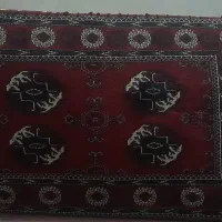 پشتی|پشتی|گنبد کاووس, |دیوار