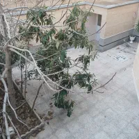 رهن-و-اجاره-مسکونی